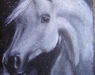 bijeli-konj-Ljerka